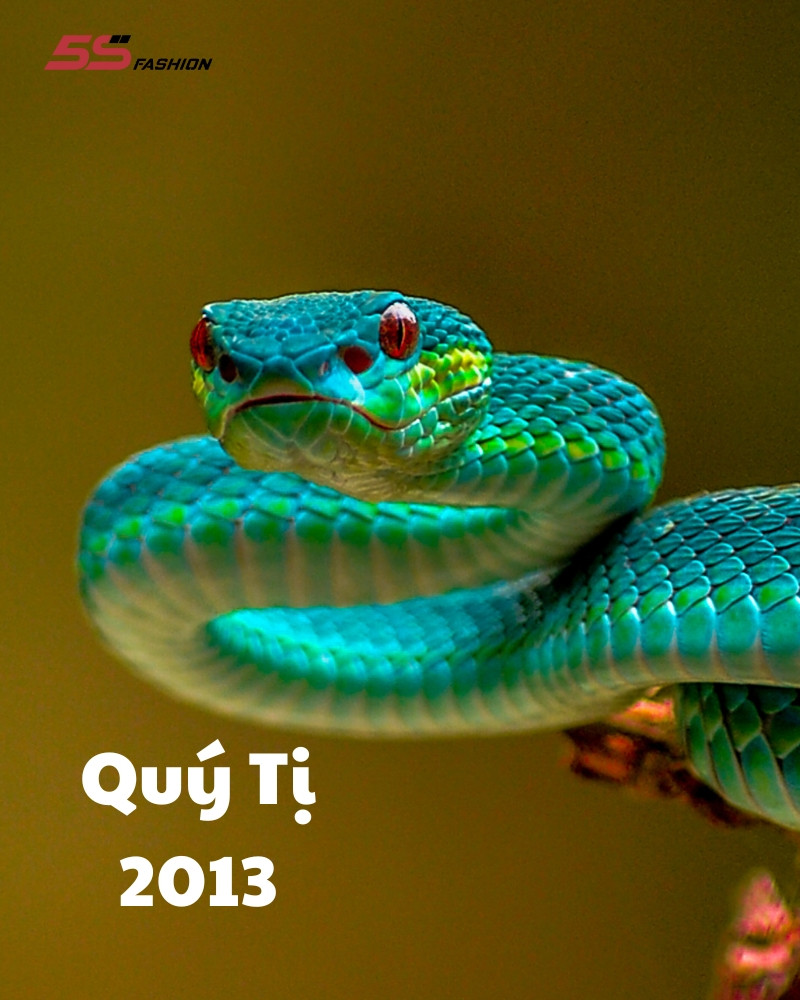 Sinh Năm 2013 Thuộc Mệnh Gì? Giải Mã Vận Mệnh Quý Tỵ