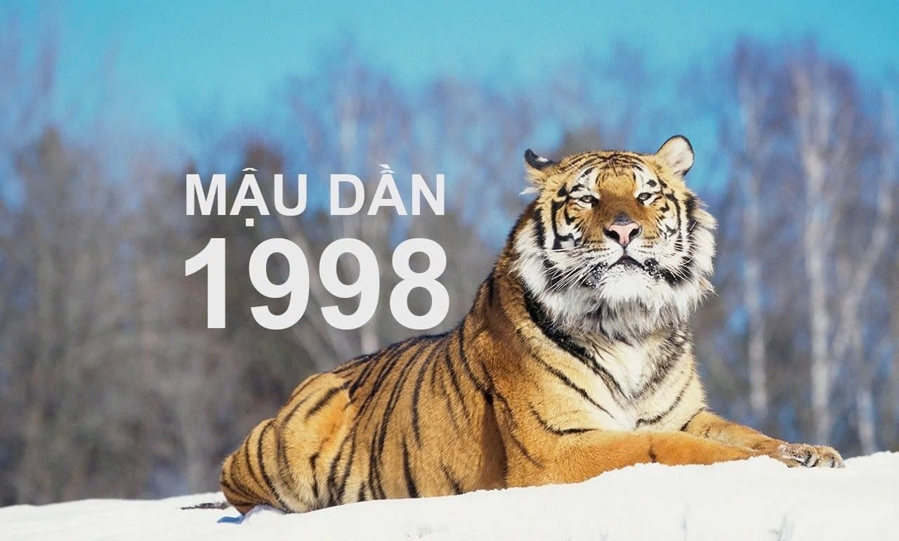 Dần 1998 Mệnh Gì? Giải Mã Chi Tiết Về Tuổi Mậu Dần