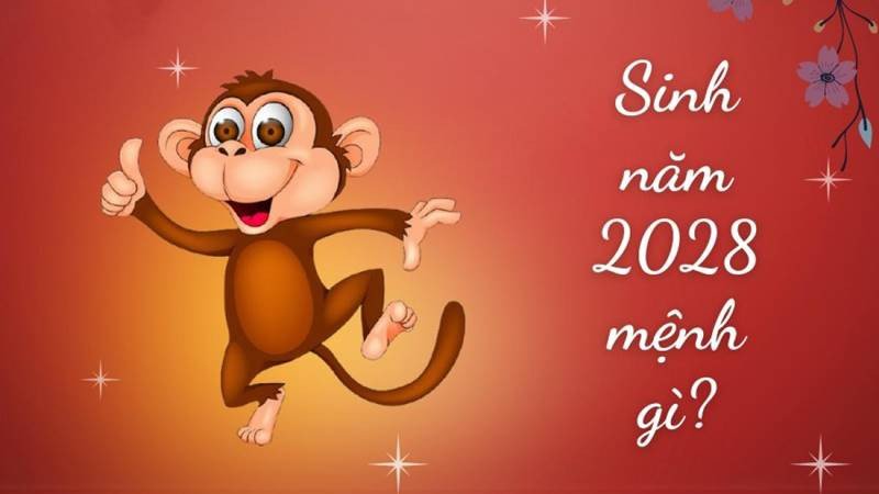 Ảnh hưởng của cung mệnh Cấn và Đoài đến người sinh năm Mậu Thân 2028