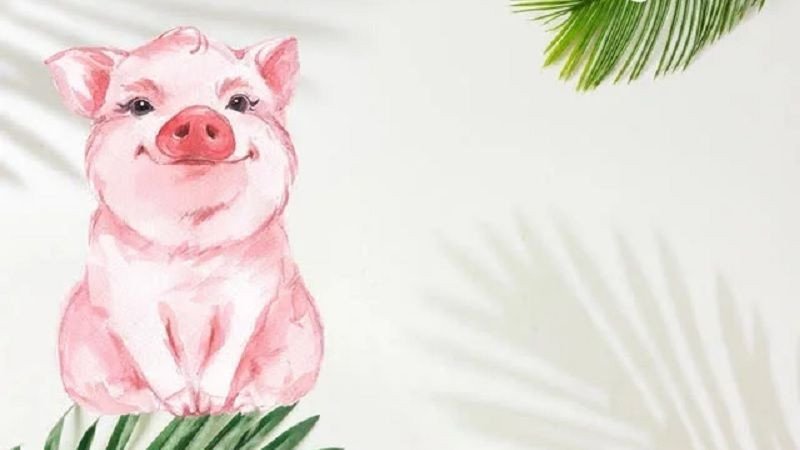 Bảng màu sắc phong thủy phù hợp với người sinh năm 1995 mệnh Hỏa.