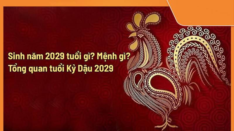 Bảng màu sắc tương sinh, tương khắc, hướng dẫn chọn màu hợp với người tuổi Kỷ Dậu sinh năm 2029 mệnh gì.