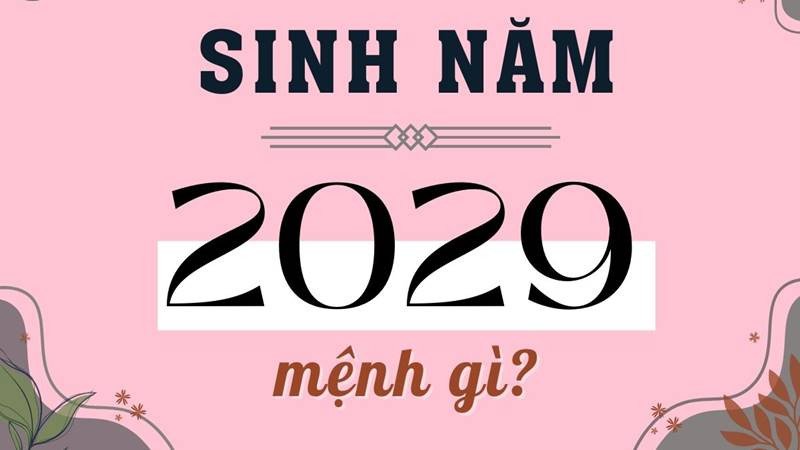 Bảng ngũ hành và các yếu tố ảnh hưởng đến mệnh Đại Trạch Thổ của người sinh năm 2029.