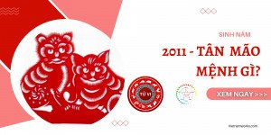 Bảng tóm tắt cung mệnh và tuổi của nữ sinh năm 2011