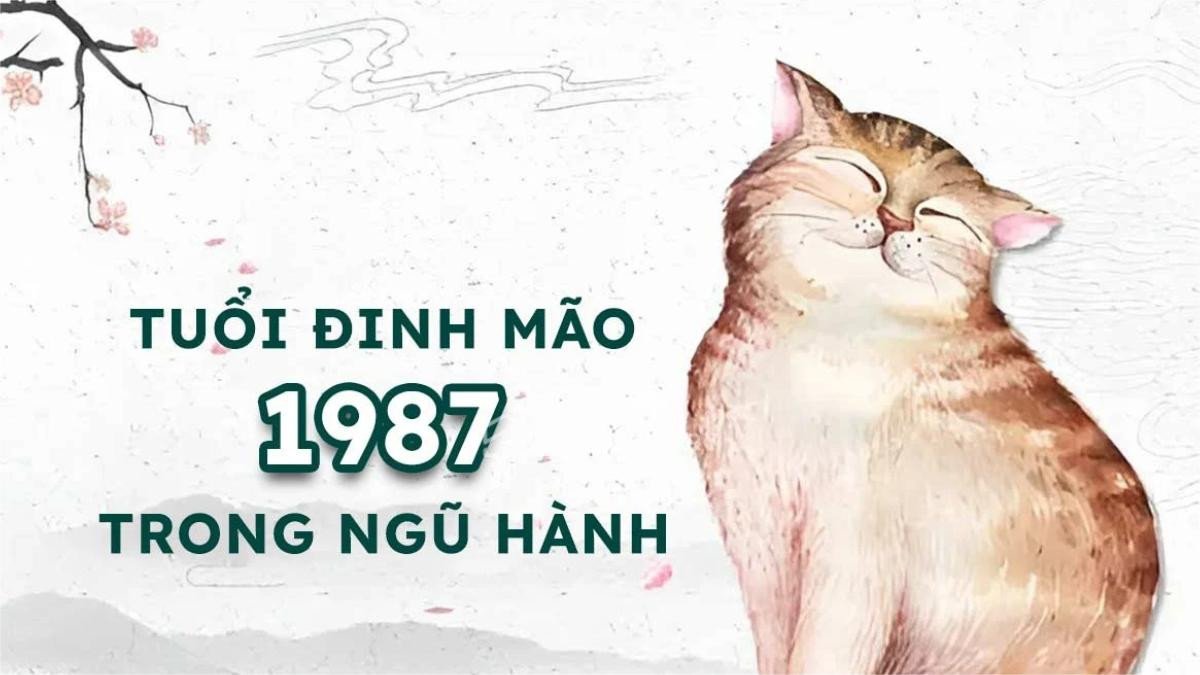 Biểu đồ cung mệnh cho nam nữ sinh năm 1987