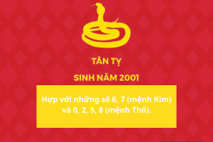 Biểu tượng các con số may mắn, mang lại tài lộc cho người sinh 2001.