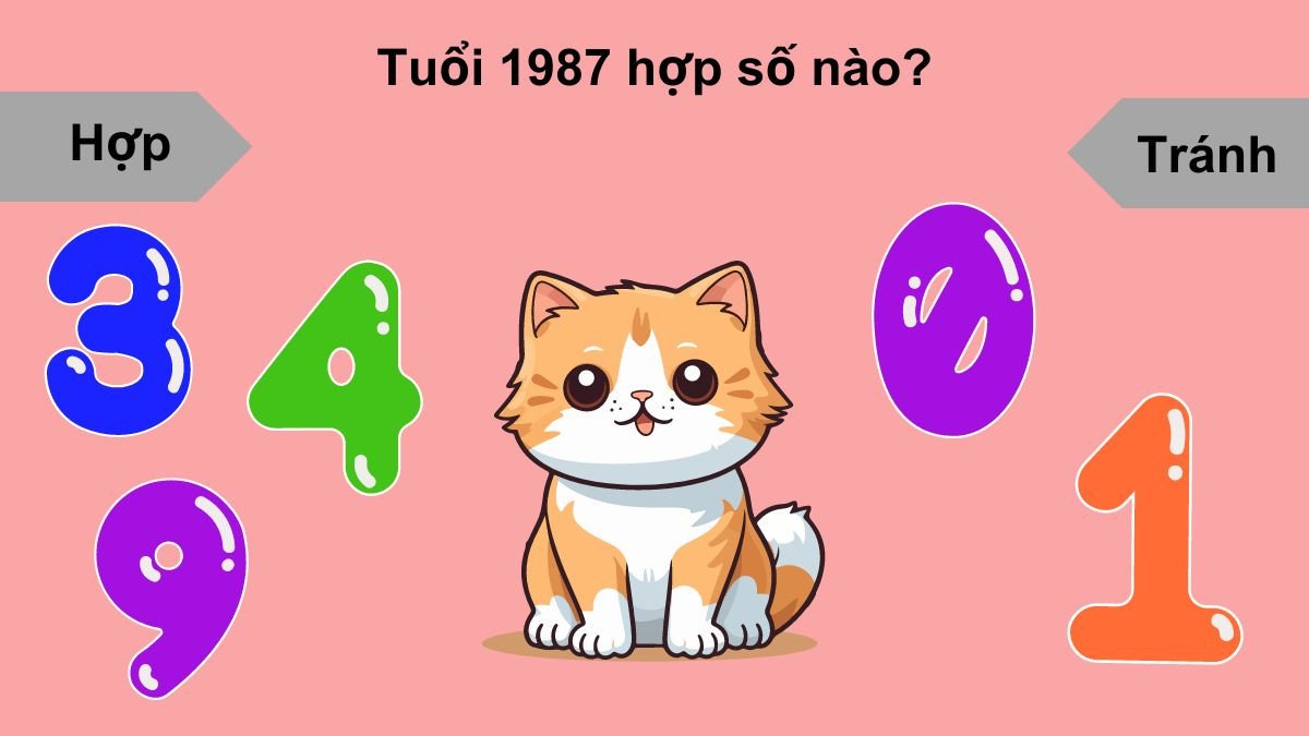 Các con số may mắn cho người sinh năm 1987 mệnh Hỏa