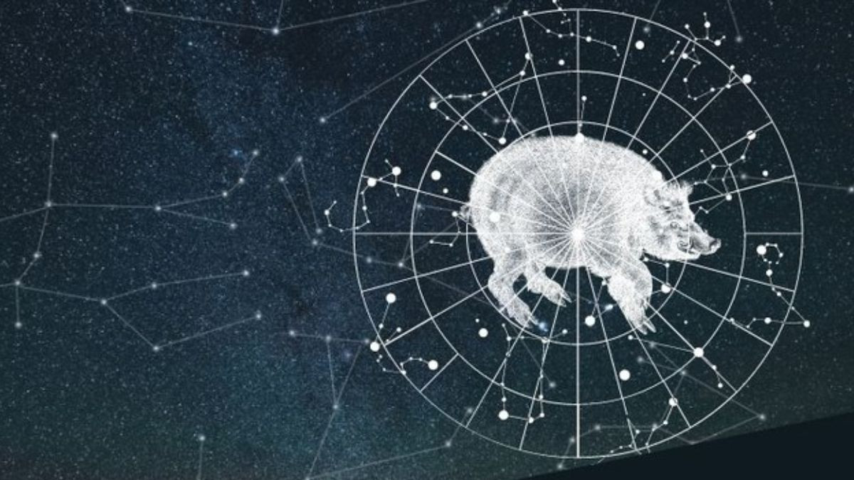 Các hướng hợp với tuổi Tân Hợi