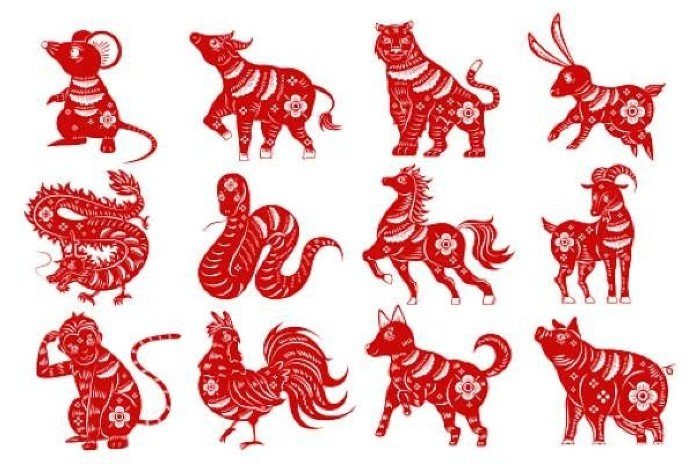 Các tuổi tam hợp và tứ hành xung ảnh hưởng đến vận mệnh Kỷ Hợi 1959