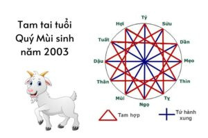 Cách tính tam tai cho tuổi Mùi 2003 và những điều cần lưu ý