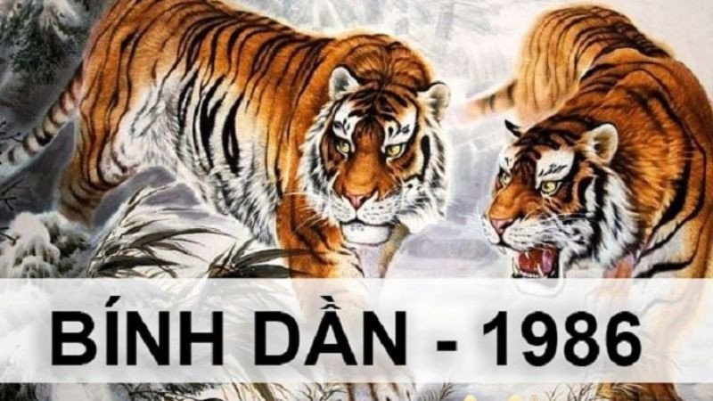 Cách tính tam tai tuổi Bính Dần 1986