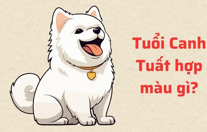 Canh Tuất sinh năm 2030 hợp màu gì