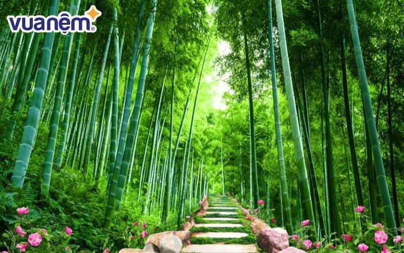 Cây trúc thanh cao, biểu tượng của sự kiên cường và mạnh mẽ, liên quan đến ý nghĩa tên Trúc Diệp.