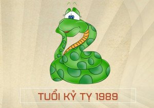 Chu kỳ tam tai và các năm tam tai cho Kỷ Tỵ sn 1989 mệnh gì
