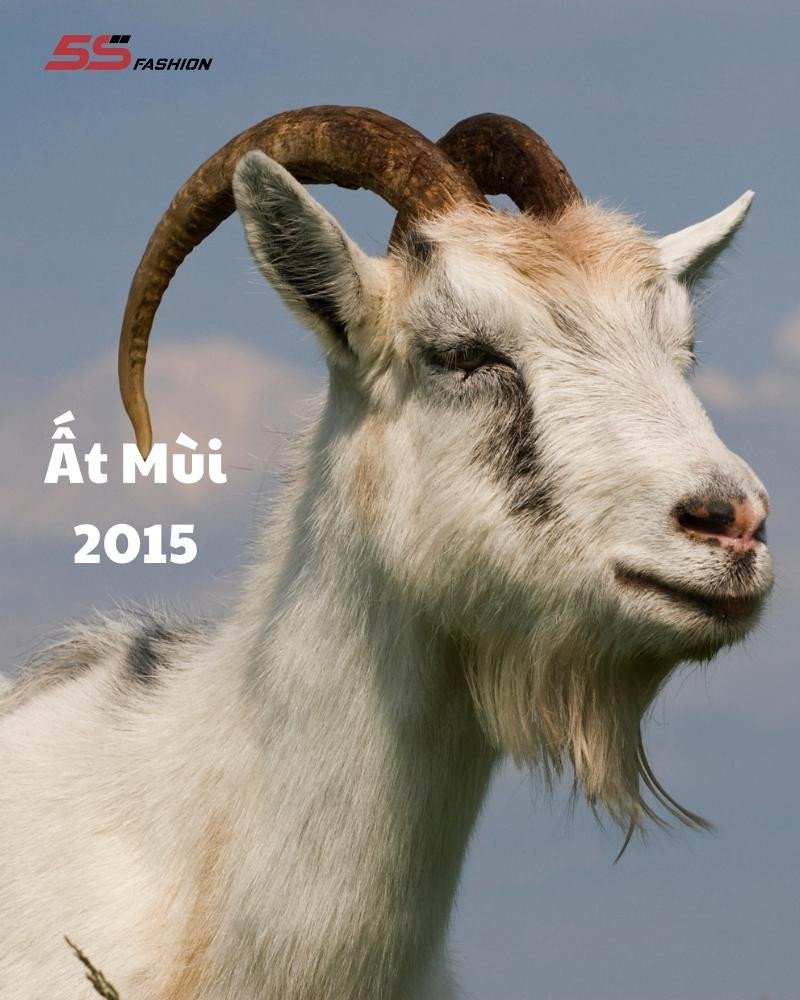 Con dê Ất Mùi đại diện cho người sinh năm 2015