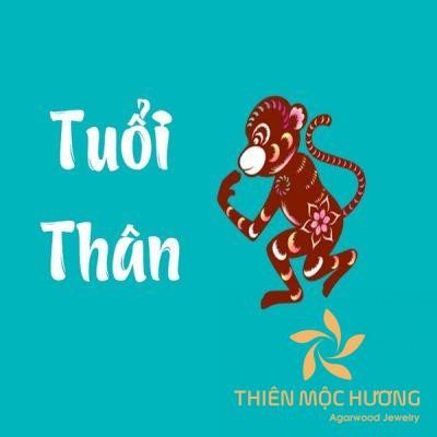 Con Khỉ (Thân) đại diện cho tuổi Bính Thân 1956, liên quan đến 1956 là mệnh gì