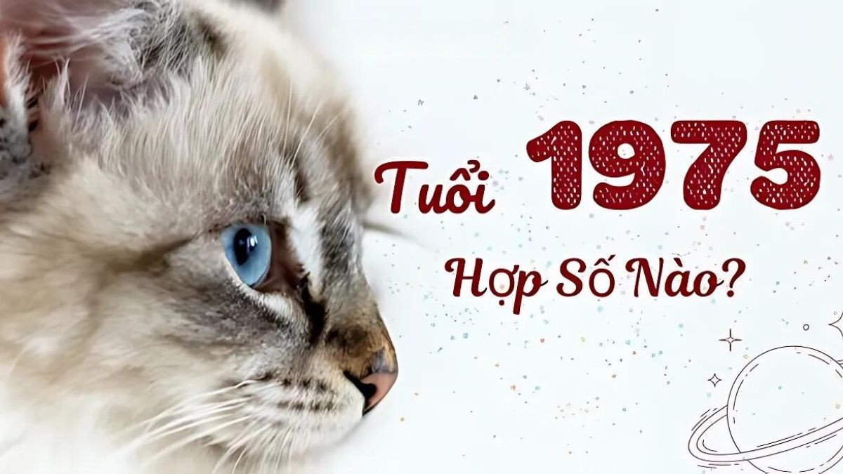 Con số may mắn cho người tuổi Ất Mão 1975
