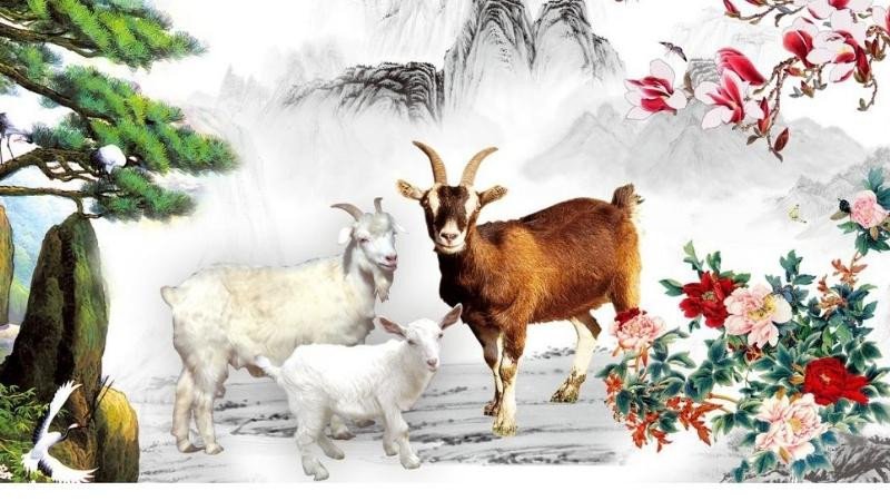 Con số may mắn của nữ Quý Mùi