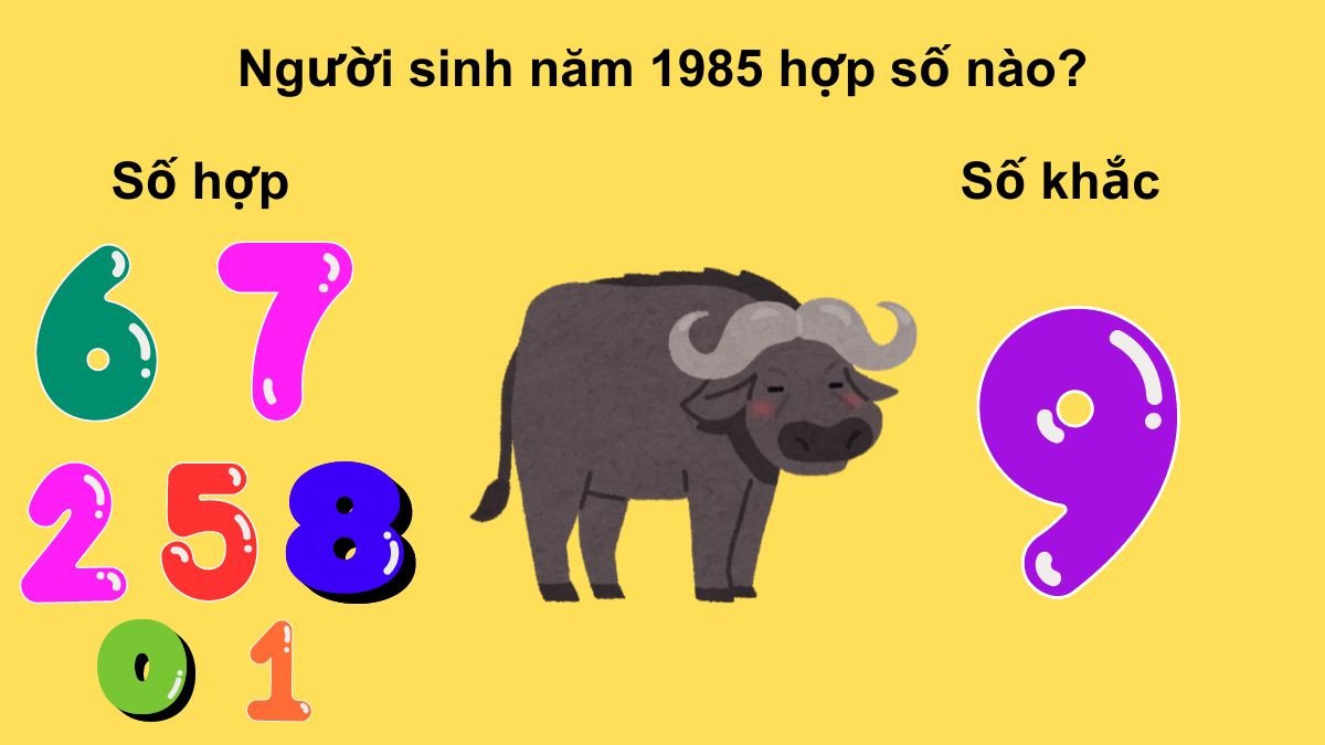 Con số may mắn nữ sinh năm 1985