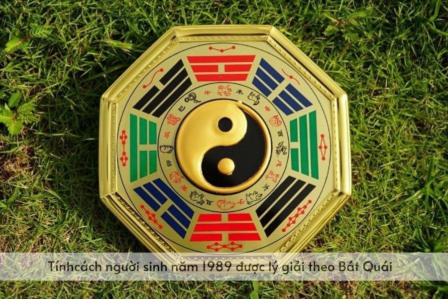 Cung mệnh của nam Kỷ Tỵ 1989 (Cung Khôn) và nữ Kỷ Tỵ 1989 (Cung Tốn)