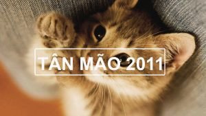 Cung mệnh của nam Tân Mão 2011