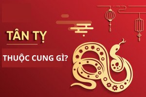 Cung mệnh của người nữ 2001 thuộc tuổi Tân Tỵ