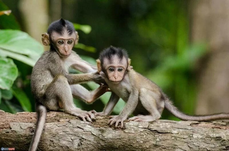 Đặc điểm tính cách người sinh năm 2028