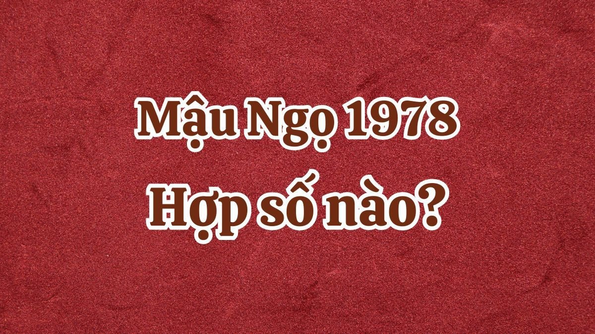 Dãy số may mắn mang lại tài lộc và bình an cho người tuổi Mậu Ngọ 1978