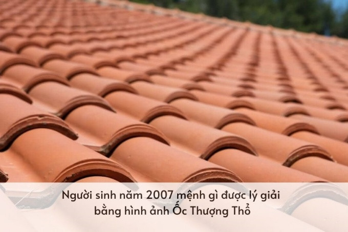 Đinh Hợi 2007 nam mệnh gì: ý nghĩa nạp âm Ốc Thượng Thổ