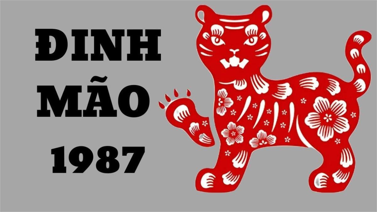 Độ tuổi hiện tại của người sinh năm 1987 Đinh Mão