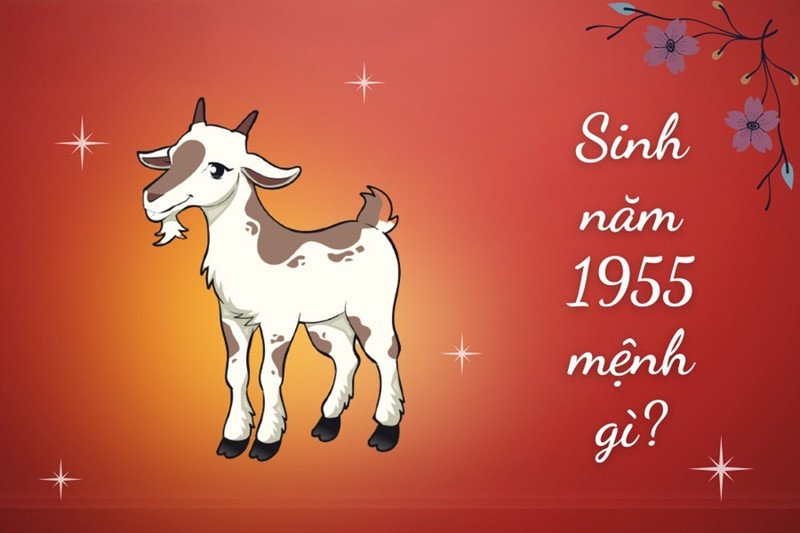 Giải đáp sinh năm 1955 mệnh gì, thuộc Sa Trung Kim trong ngũ hành phong thủy.