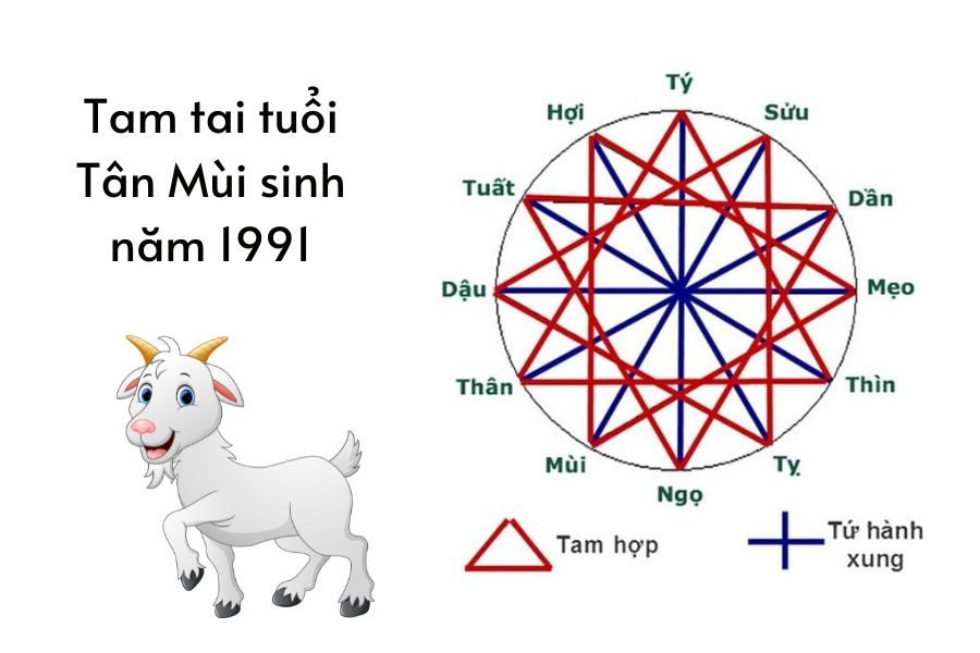 Hạn Tam Tai của người sinh năm 1991 mệnh gì cung gì