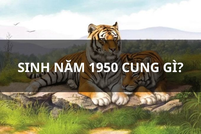 Hạn Tam Tai của tuổi Canh Dần 1950