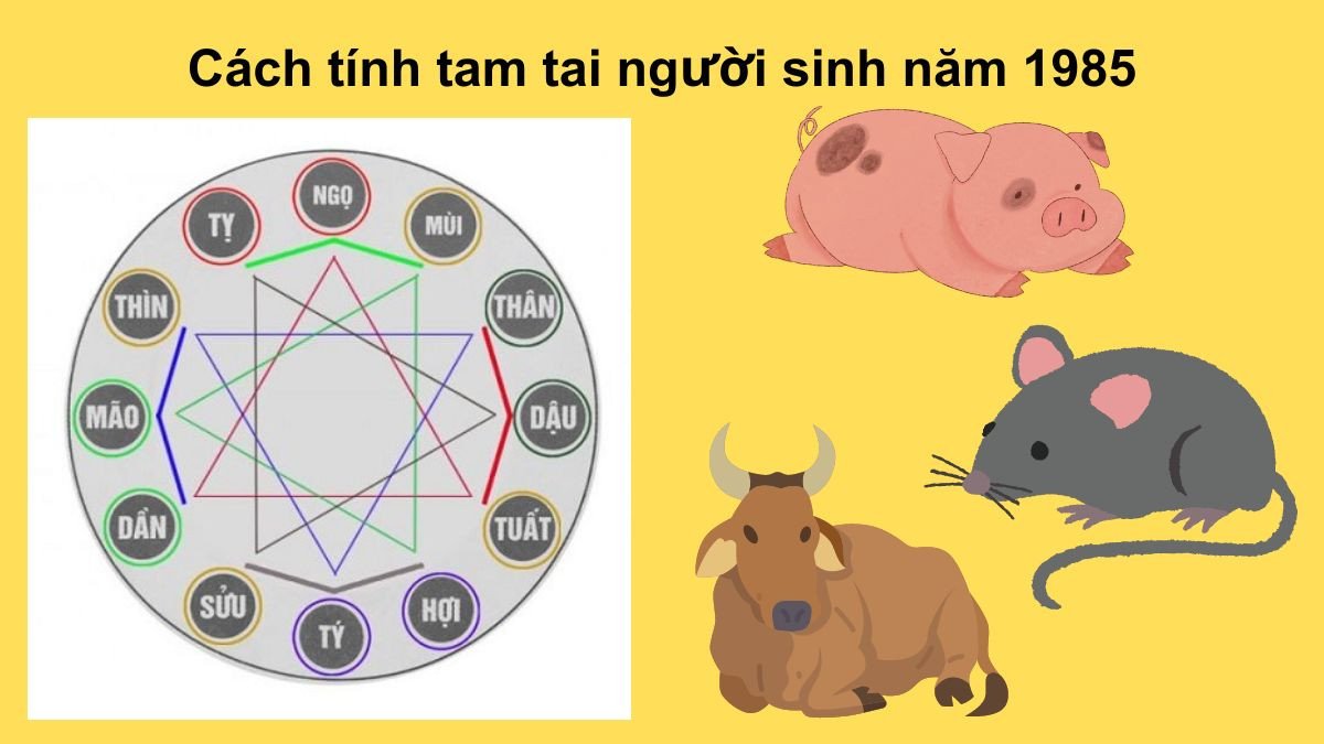 Hạn Tam Tai nữ sinh năm 1985