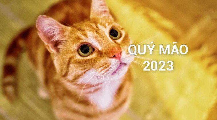 Hình ảnh chú mèo Quý Mão tinh nhanh, biểu tượng cho người sinh năm 2023 mang mệnh gì