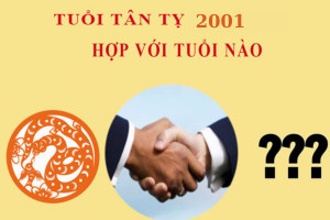 Hình ảnh hai người bắt tay, tượng trưng cho sự hợp tác làm ăn và hôn nhân của tuổi Tân Tỵ.