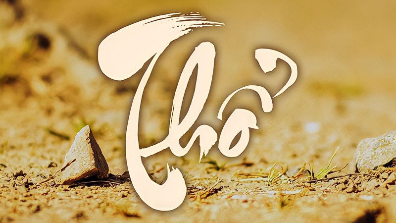 Hình ảnh người tuổi Bính Tuất 2006 mệnh gì