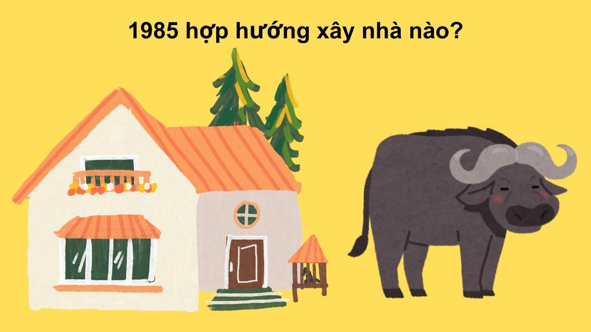 Hướng nhà hợp nữ sinh 1985