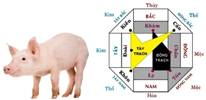 Hướng nhà tốt cho gia chủ Đinh Hợi là mệnh gì