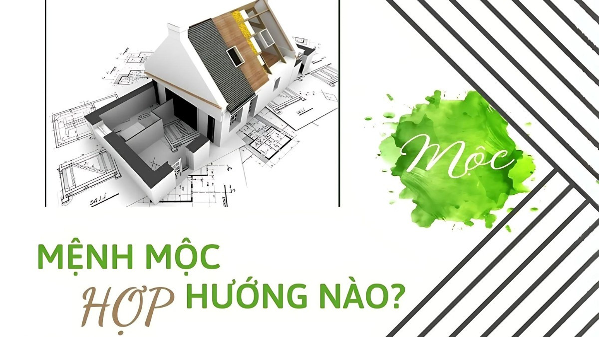 Hướng nhà tốt và cần tránh cho gia chủ mệnh Mộc