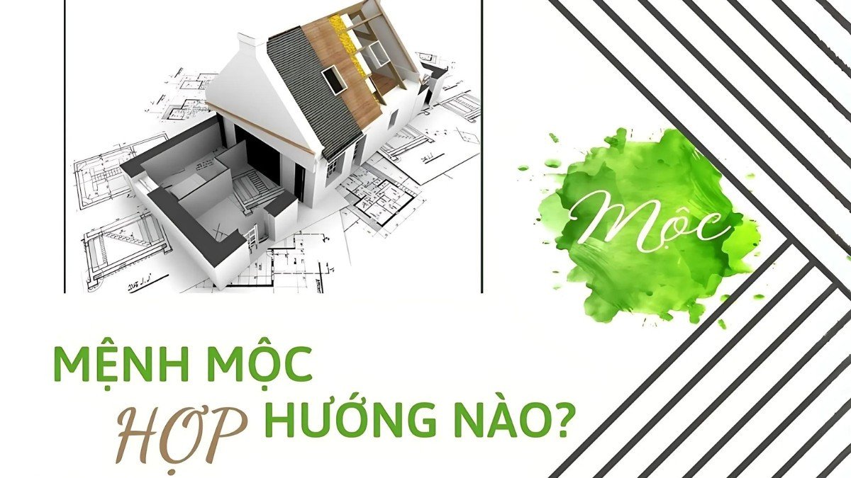 Hướng nhà và công việc phù hợp với mệnh Mộc
