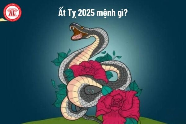 Khám phá vận mệnh và phong thủy năm Ất Tỵ 2025 mệnh gì cho tuổi 1965