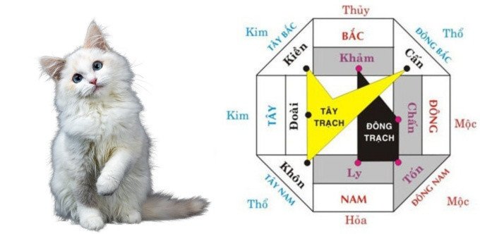 Lựa chọn hướng nhà phong thủy phù hợp cho Kỷ Mão 1999