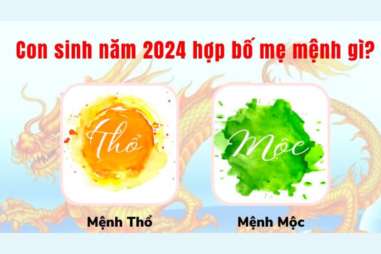 Màu sắc hợp và kỵ với người sinh năm 2024