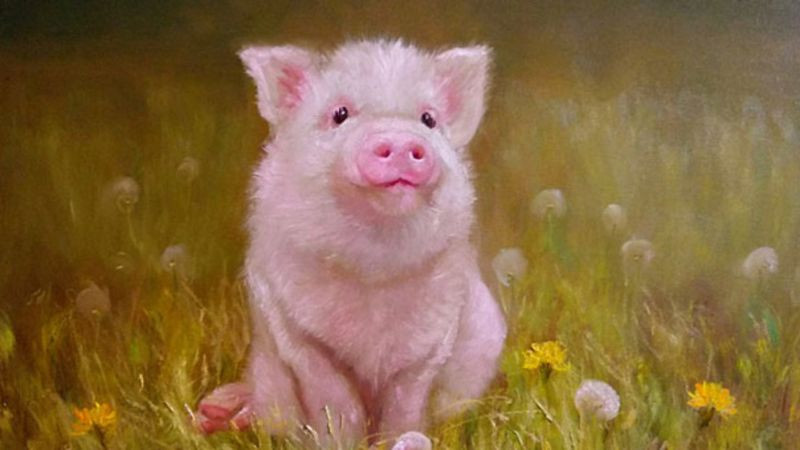 Màu sắc hợp với người mệnh Kim Tân Hợi 2031