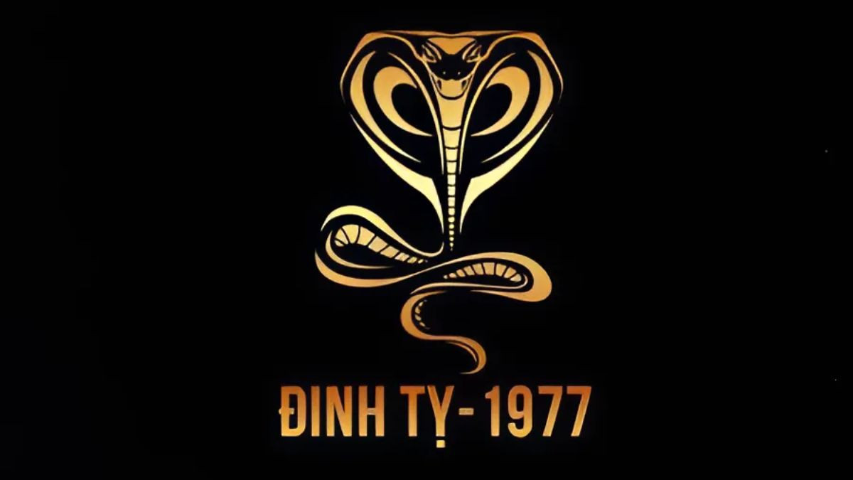 Màu sắc hợp với người sinh năm 77 mệnh Thổ