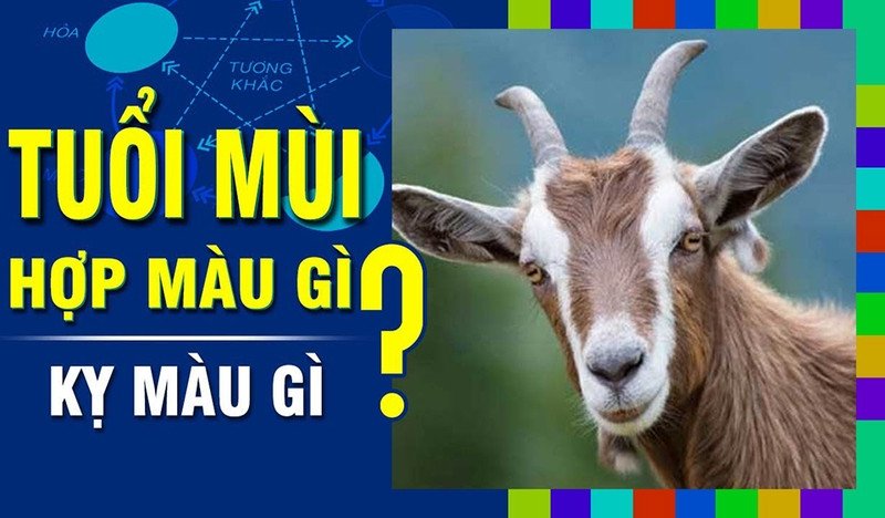 Màu sắc phong thủy hợp và kỵ cho người sinh năm 1955 mệnh gì, tuổi Ất Mùi.