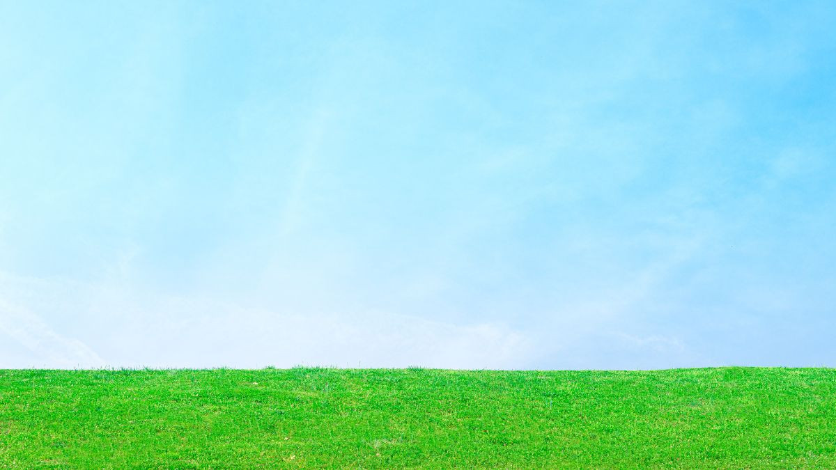 Màu sắc phong thủy tương sinh, tương khắc cho tuổi 1980 mệnh Mộc