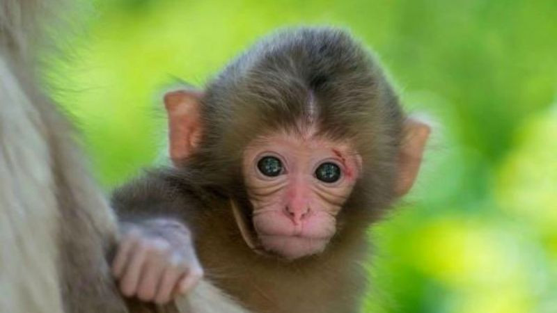 Màu sắc tương sinh mang lại may mắn cho người sinh năm 1992