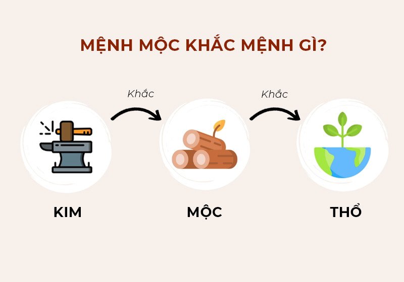 Mệnh Mộc khắc mệnh gì theo Ngũ Hành