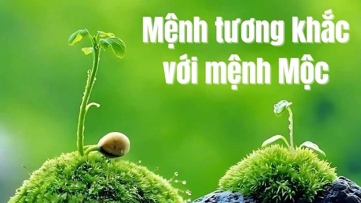 Mệnh Mộc tương khắc với mệnh Kim và Thổ